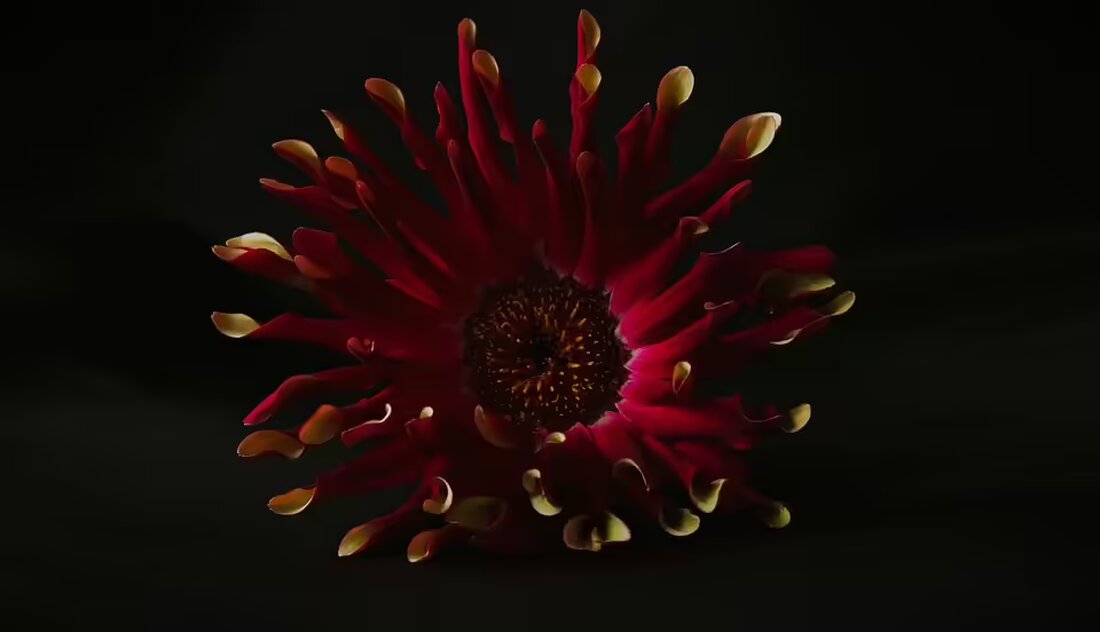 Über 29.000 Euro für die Krebshilfe Burgenland: Beim Pink Ribbon Kinoabend im Dieselkino Oberwart und dem Aktionstag im eo Oberwart wurde erneut ein beeindruckendes Spendenergebnis erzielt.