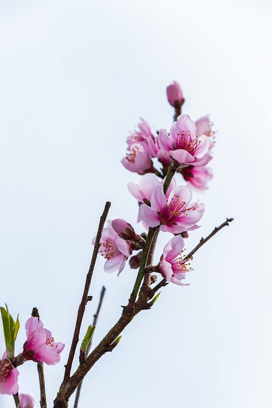 Steinschlag-Alarm in Salzburg: Nach einem Felssturz in der Altstadt wurde die Gegend abgesperrt. Feuerwehr und Geologen untersuchen die Situation. Weiterführende Informationen im Artikel.