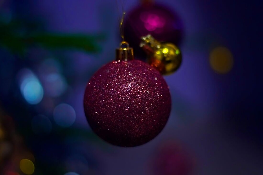 Erfahren Sie von Ursula Herzog, wie Sie den perfekten Weihnachtsbaum auswählen und ihn bis zum 6. Januar frisch halten. Tipps aus dem Salzkammergut für ein unvergessliches Fest!