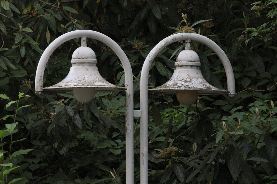 Fragen über ein mögliches Versagen der Sicherheitsbehörden in Deutschland nach dem tödlichen Weihnachtsmarktanschlag in Magdeburg wachsen. Der mutmaßliche Täter steht nun im Gefängnis.