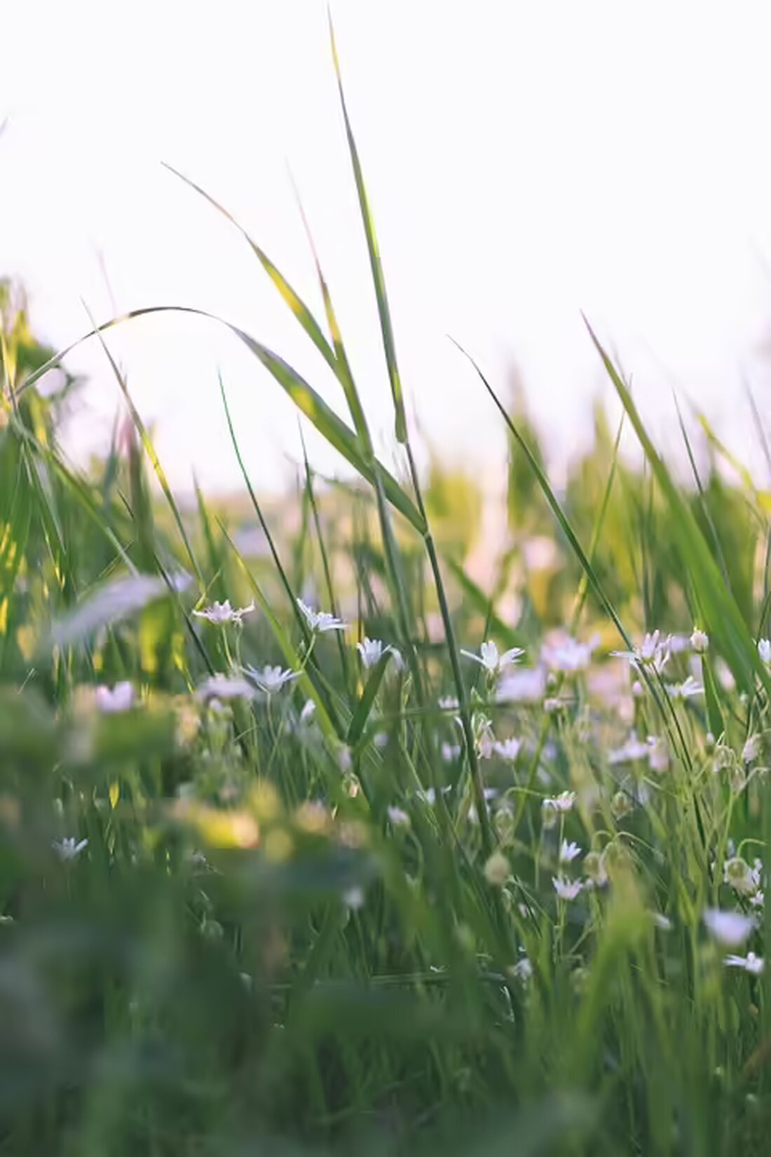 Simone Lugner sorgt mit einem überraschenden Foto für Gesprächsstoff. Ihre künftigen Projekte bleiben geheim – plant sie etwa eine unternehmerische Rückkehr? Erfahren Sie mehr!