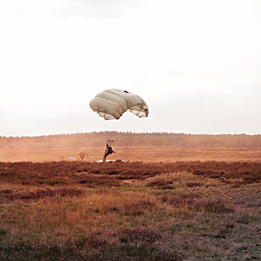 Anlässlich von Allerheiligen fanden in zahlreichen Gemeinden Gedenkfeiern des Kameradschaftsbundes statt, wo die Sorge um den Frieden im Fokus stand. Informieren Sie sich über die aktuellen Ereignisse.