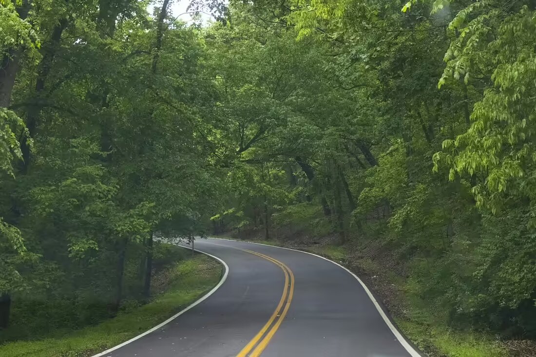 Nach Donald Trumps Wahlsieg zeigen internationale Führer hastiges Interesse, Kontakte zu knüpfen. Welche Änderungen bringt seine Rückkehr für die Weltordnung? Entdecken Sie die Reaktionen und Strategien.