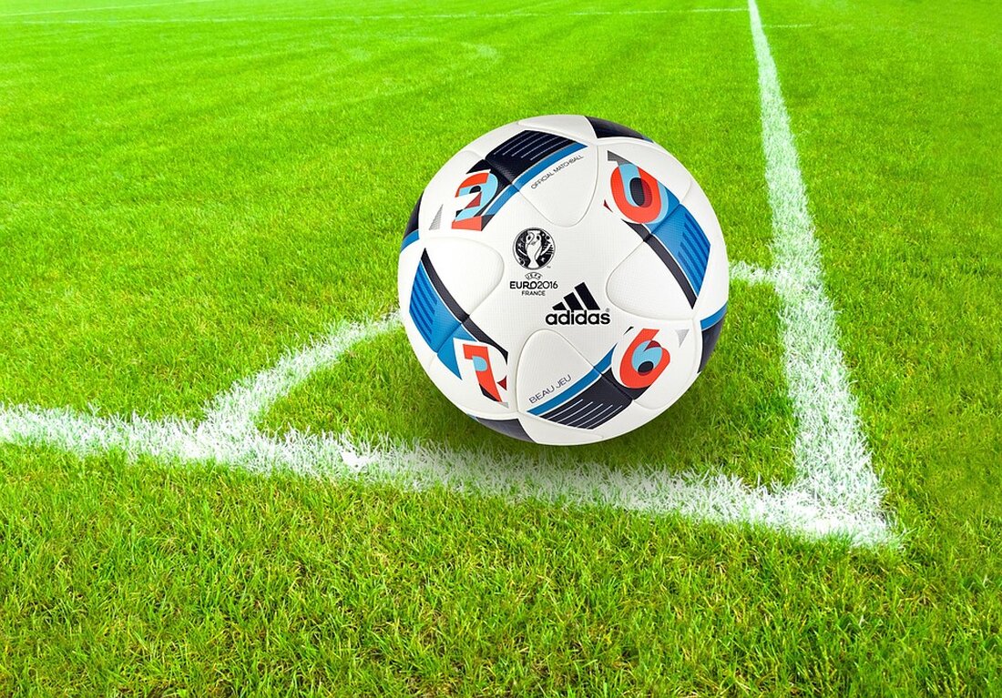 Olympique Lyonnais' Nemanja Matic und Le Havres Ahmed Hassan wurden für zwei Spiele gesperrt, nachdem sie das Anti-Homophobie-Emblem auf ihren Trikots verdeckt hatten. Ein Aufruf zur Sensibilisierung für Toleranz im Fußball.
