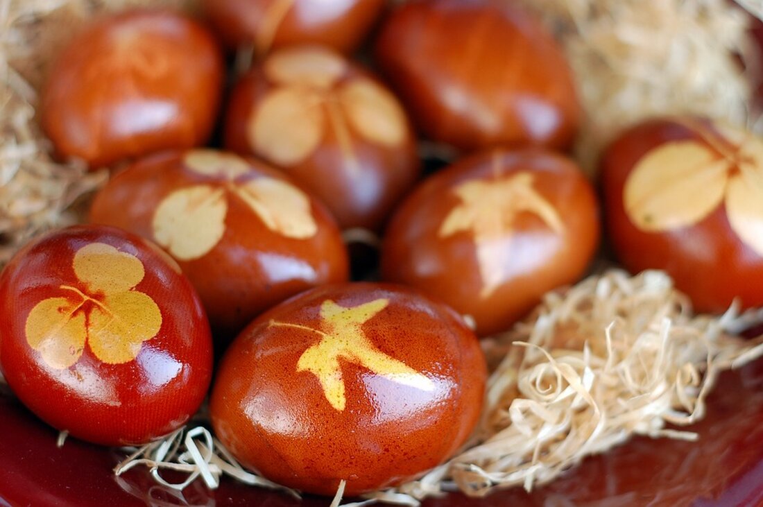 Die DFB-Elf feiert den 7:0-Sieg gegen Bosnien mit einem Besuch im Europa-Park. Was der Freizeitpark-Ausflug für das kommende Spiel gegen Ungarn bedeutet, erfahren Sie hier!