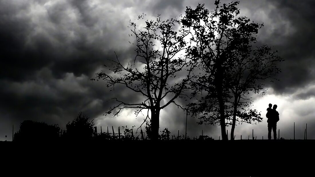 Erleben Sie das spannende Mystery-Packerl-Event in Wien! Verlorene Packerl warten auf neue Besitzer und bergen ungeahnte Schätze. Sind Sie bereit für das Kauferlebnis bis Samstag?