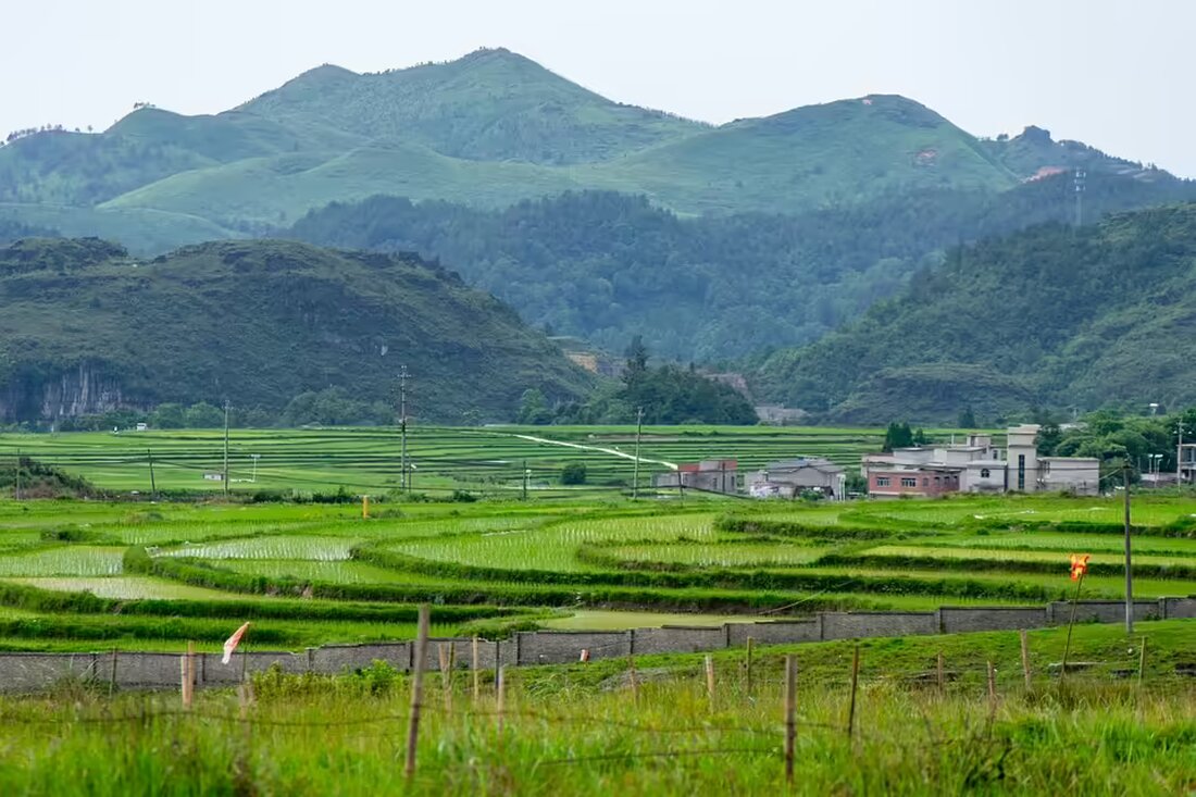 Wilhelmsburg strebt die Zertifizierung als familienfreundliche Gemeinde an. Nach erfolgreichen Workshops wurde ein Maßnahmenplan für die nächsten drei Jahre erarbeitet. Erfahren Sie mehr!