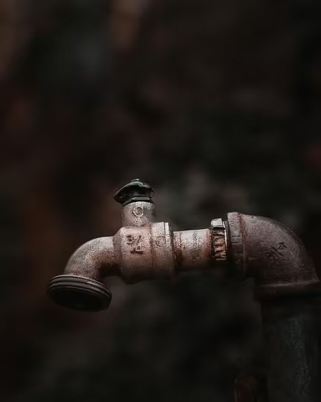 Der Gemeinderat Rust hat dem Bau eines Parkdecks mit 580 Stellplätzen zugestimmt. Das Projekt optimiert die Parkmöglichkeiten im Tipidorf und ist flächenschonend konzipiert.