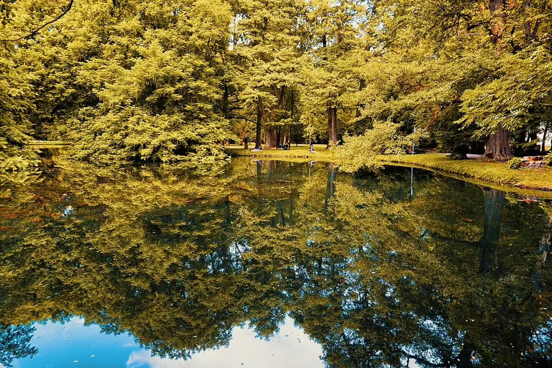 Christian Partoll zieht nach drei Jahren als Bürgermeister von Ansfelden eine positive Halbzeitbilanz. Projekte zur Infrastruktur, Familienfreundlichkeit und Klimaschutz prägen seine Amtszeit. Erfahren Sie mehr!