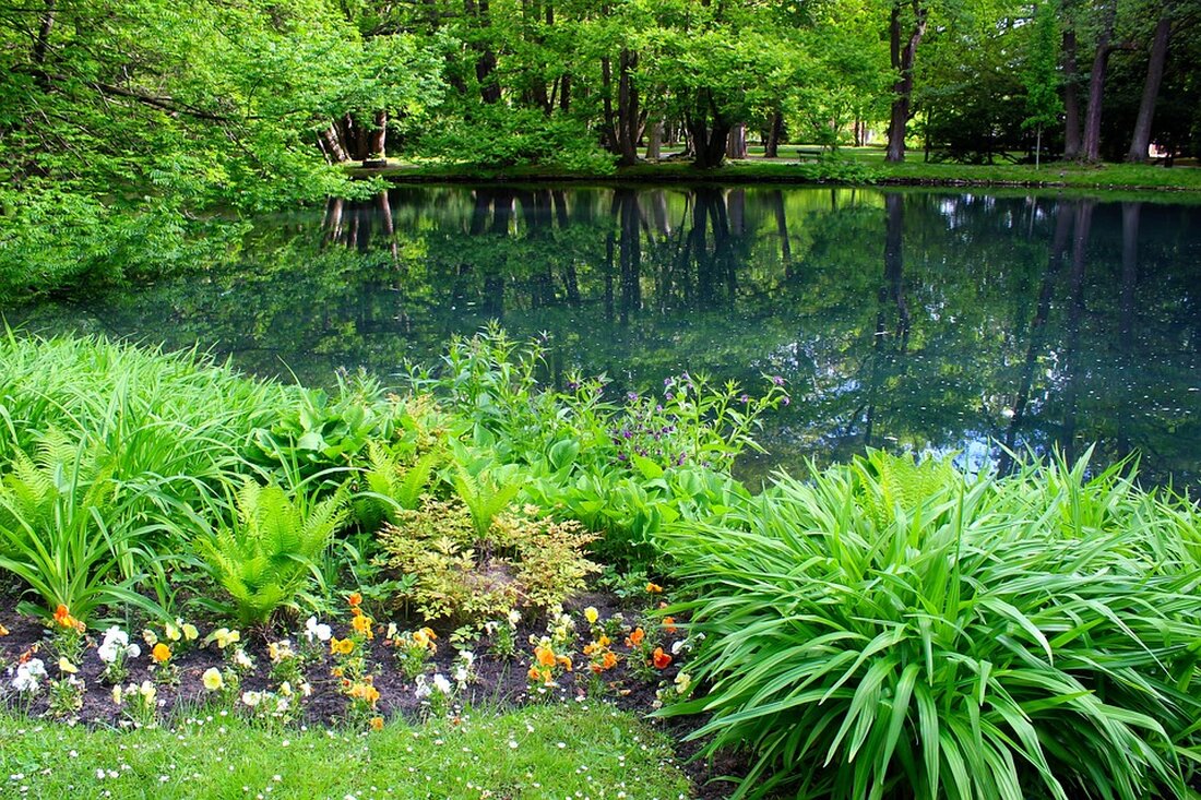 In einer spannenden Zusammenarbeit treten die Landesgartenschauen Schärding und Tulln gemeinsam auf. Erfahren Sie, wie die beiden Veranstaltungen Synergien nutzen und sich vernetzen!