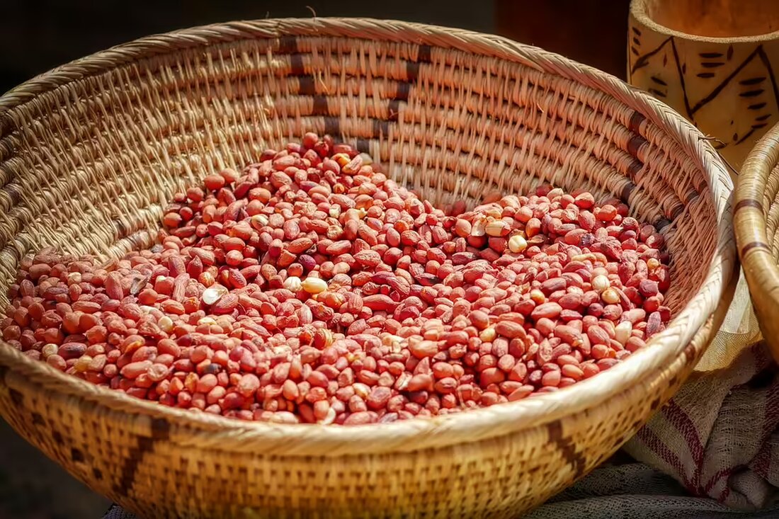 Entdecken Sie das Rotweinerlebnis in Lutzmannsburg am 9. November 2024! Genießen Sie erlesene Weine, köstliche Speisen und eine warme, familiäre Atmosphäre in den Weingütern der Region.