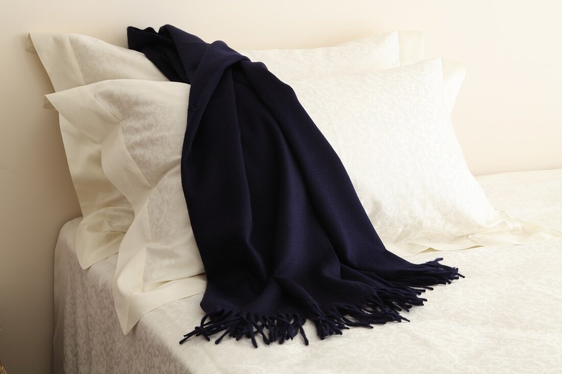 Der Stadtchef setzt klare Leitplanken für das Werft-Projekt: Qualität, Bürgerbeteiligung und leistbarer Wohnraum sind gefordert. Kein Zeitdruck, aber klare Vorgaben für eine kleinstadtverträgliche Nutzung.