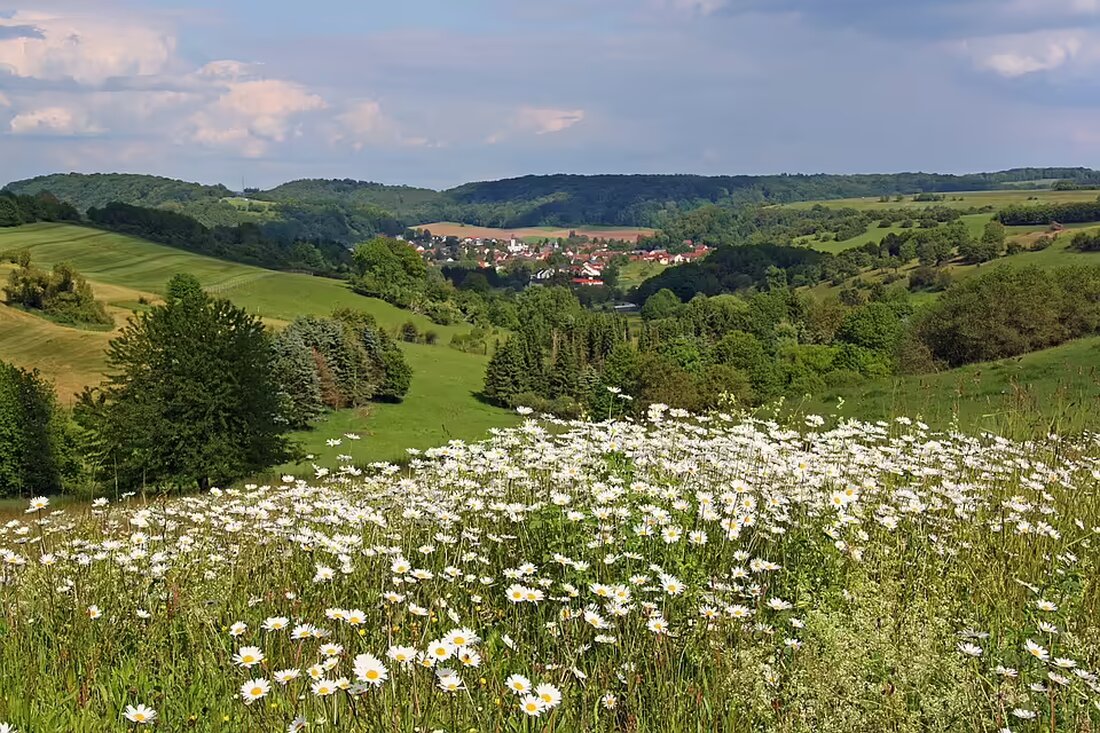 Vom 4. bis 10. November 2024 führt die saarländische Polizei umfassende Geschwindigkeitskontrollen durch. Autofahrer sollten sich auf Messungen entlang wichtiger Verkehrsadern einstellen.