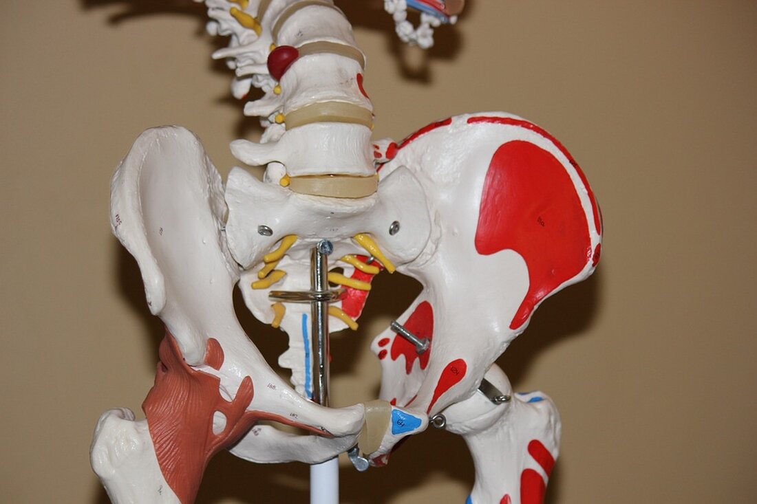 Im Rathaus Villach informierte der MeinMed-Vortrag über orthopädische Themen zu Hüfte und Knie. In Kooperation mit der Österreichischen Gesundheitskasse. Jetzt mehr erfahren!