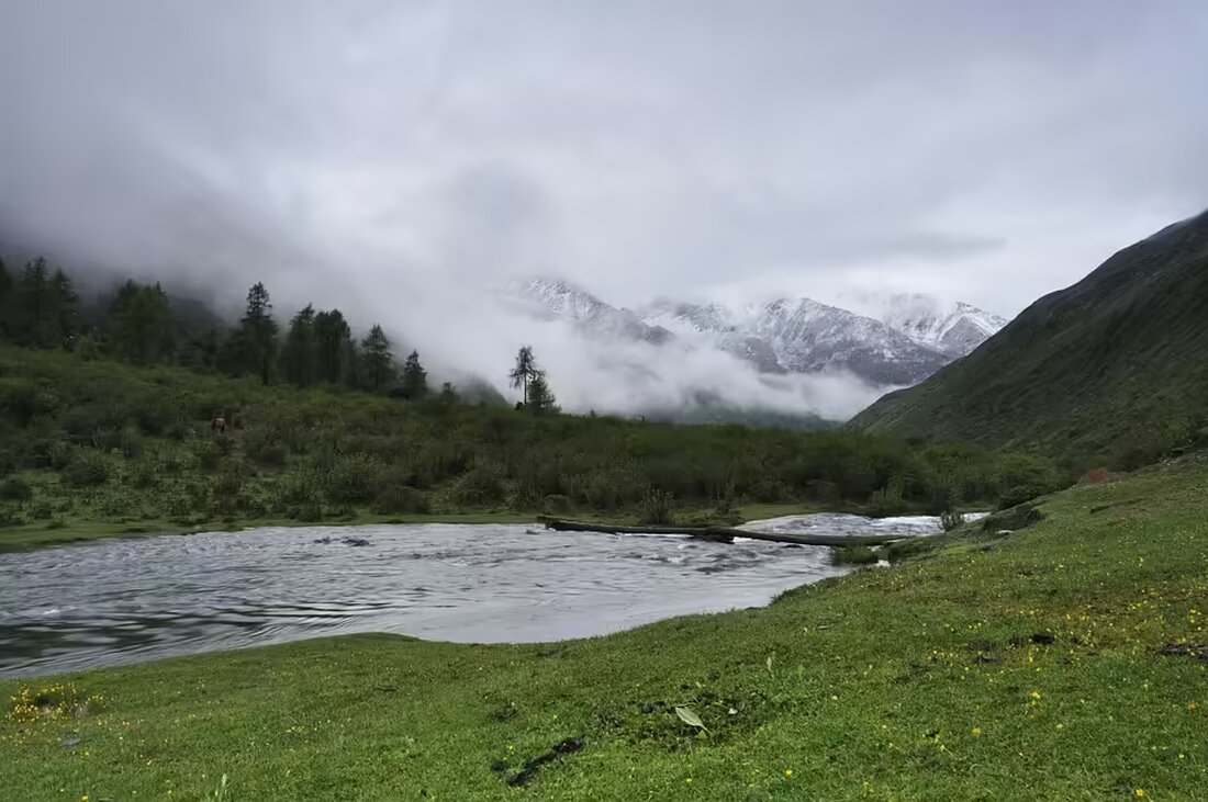 Die Mariahilfer Straße kämpft mit steigender Obdachlosigkeit und fehlenden sanitären Einrichtungen. Grätzlpolizisten berichten über ihre Erfahrungen und mögliche Lösungsansätze.