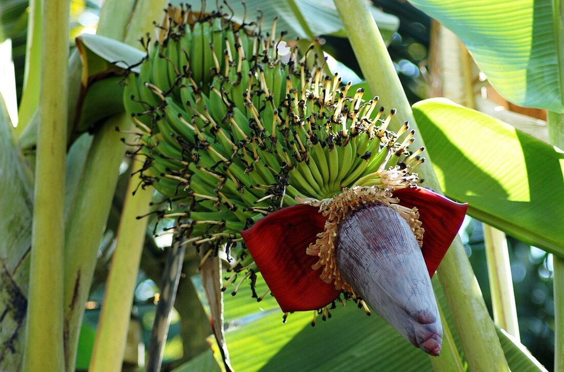 Die Grünen unter David Fürtinger gründen in Natschbach-Loipersbach eine neue Ortsgruppe und gehen mit frischem Elan in die Gemeinderatswahl am 26. Jänner. Erfahren Sie mehr!