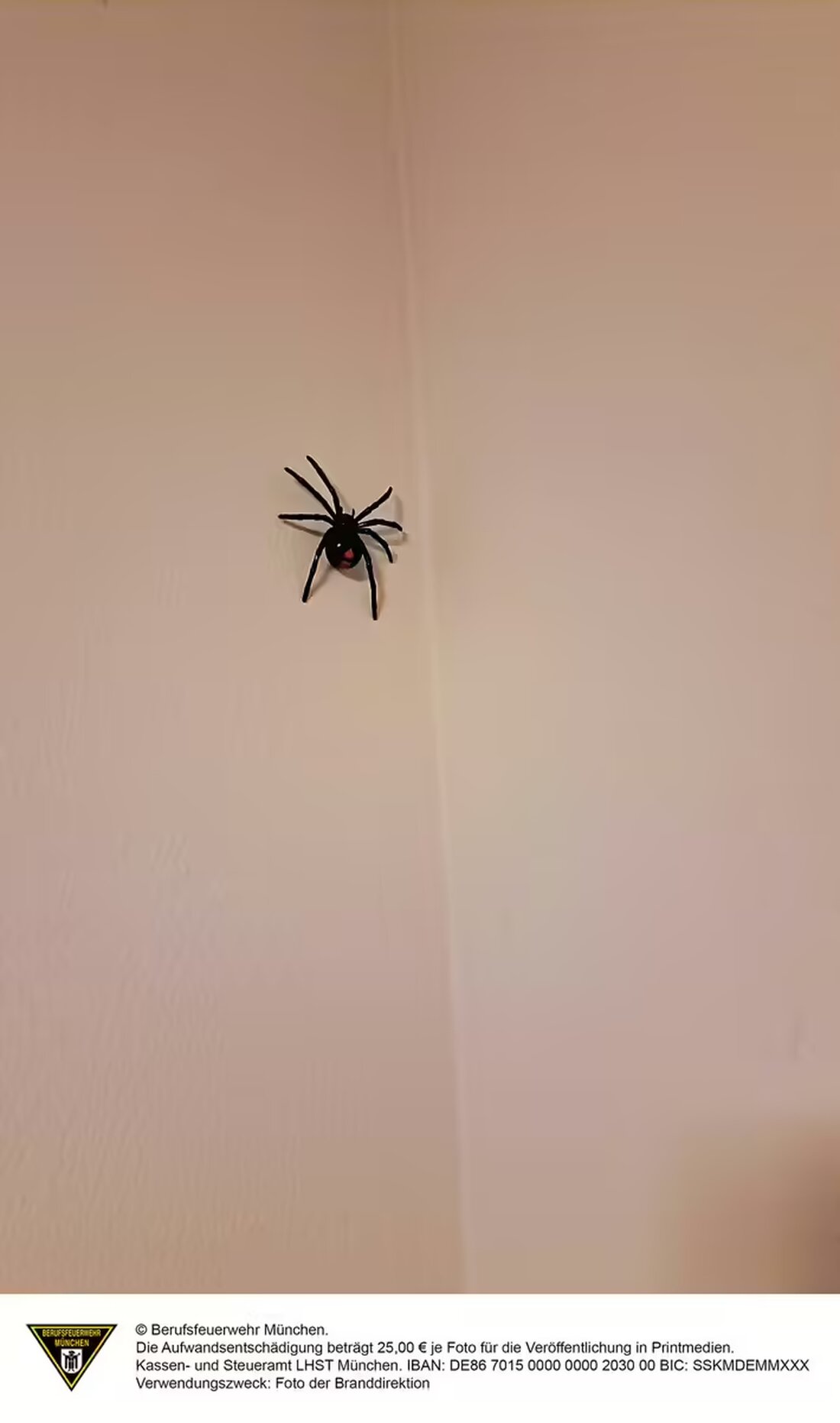 In der Halloweennacht rückte die Feuerwehr München mehrfach zu Bränden und kuriosem Einsatz in Geiselgasteigstraße und Mainaustraße aus.