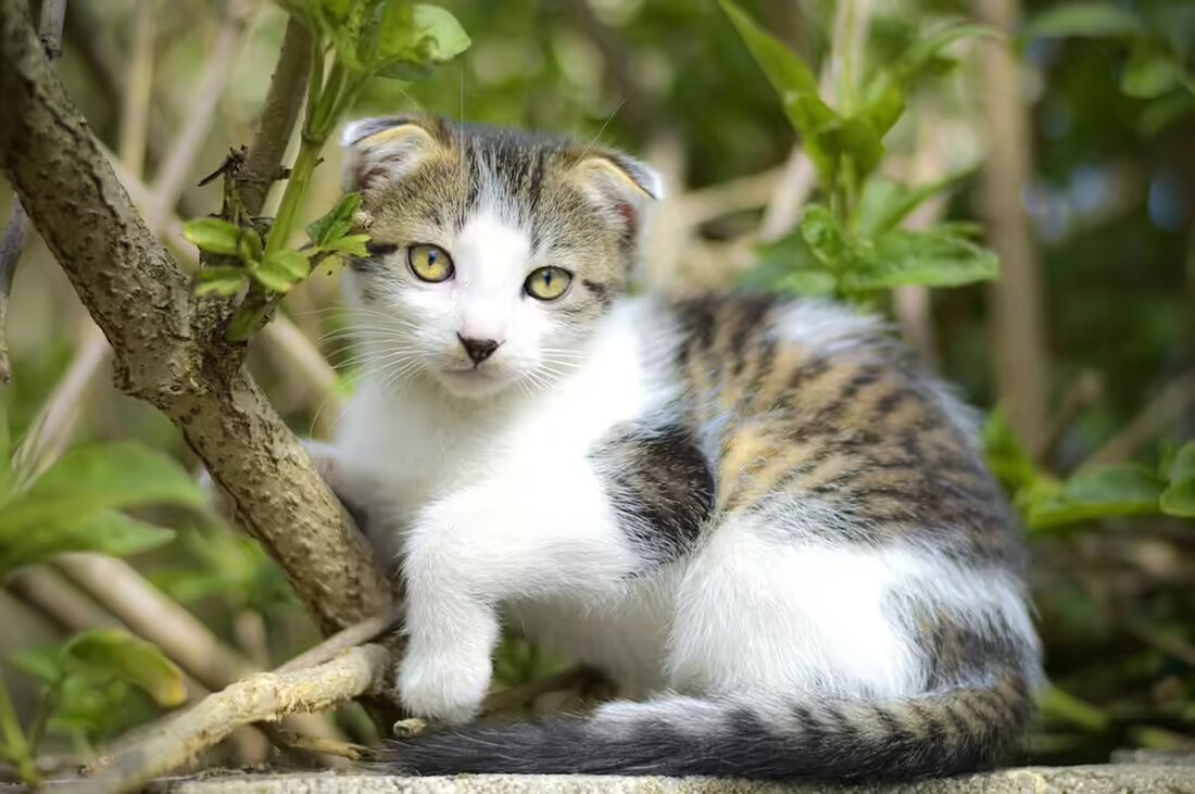 Die Herbstferienbetreuung in Mattersburg erfreute sich großer Beliebtheit. Die Stadtgemeinde bietet ganzjährig eine umfassende Betreuung für Kinder an. Erfahre mehr über die Angebote und Nutzung!