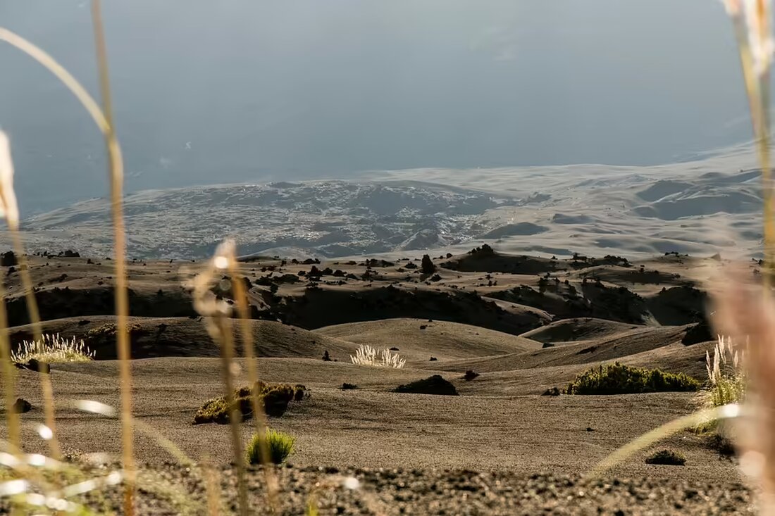 Die letzte Herbstrunde im Fußball der Region GU Süd steht bevor! Hier sind die angehenden Matches am Wochenende. Seien Sie dabei und unterstützen Sie Ihre Teams!