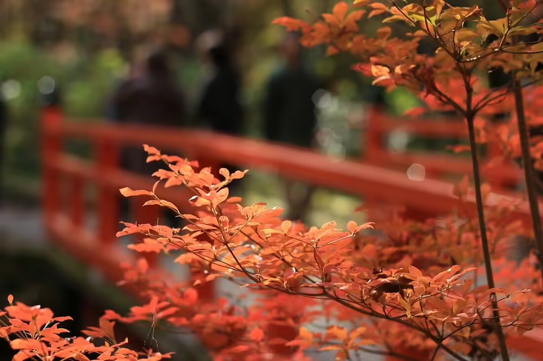 Entdecken Sie die Top-Attraktionen Deutschlands und Europas! Ein aktuelles Ranking von Fit Reisen zeigt die beliebtesten Ziele – von Freizeitparks bis historischen Stätten. Perfekt für Ihren nächsten Städtetrip!