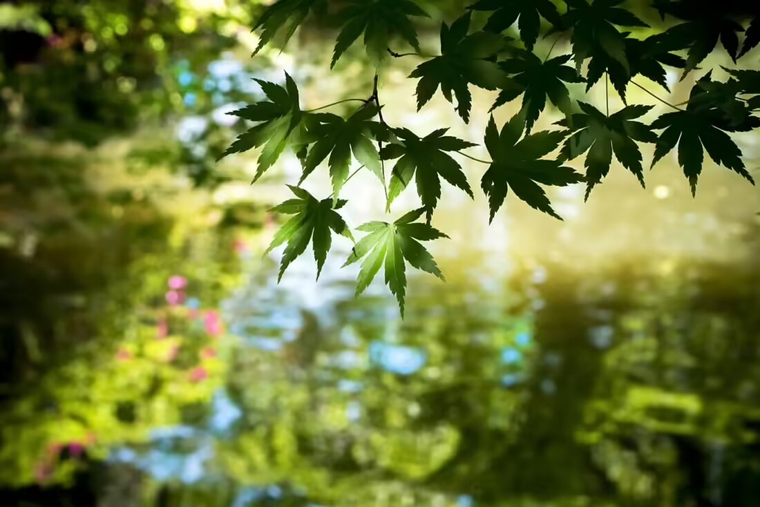 Erfahren Sie, welche Nebel- und Sonnenphasen Salzburg in der kommenden Woche erwarten. Eine detaillierte Wetterprognose für die bevorstehenden Herbsttage.