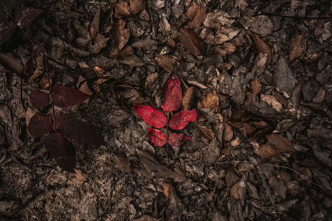 Engagieren Sie sich für eine Familie in Not! Besuchen Sie unseren Charity-Abend und helfen Sie mit, eine liebevolle Atmosphäre in ihrem Zuhause zu schaffen. Ihr Beitrag zählt!