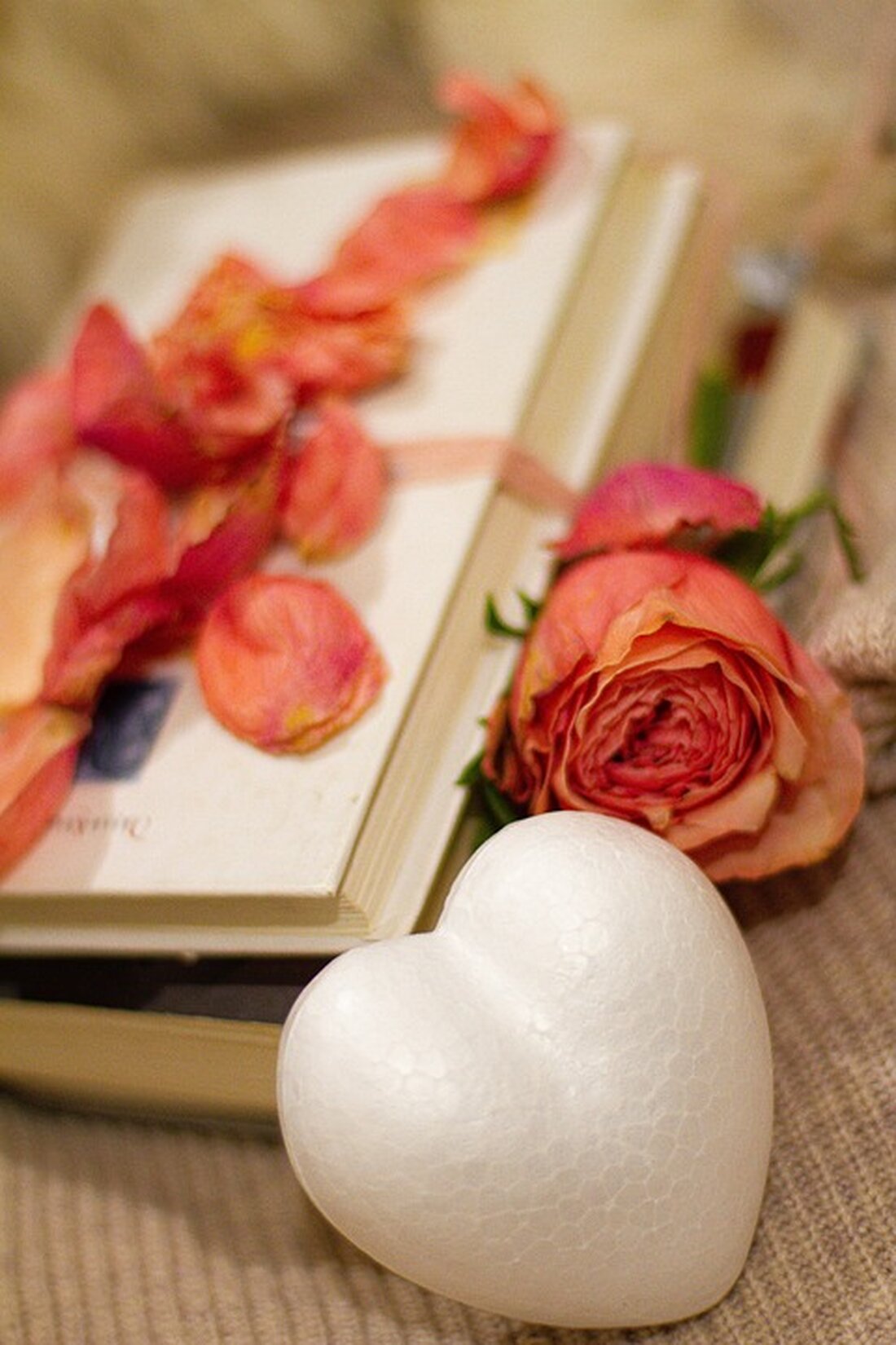 Die Familie Dunst bereitet 150 Familien mit ihrer Adventkalender-Aktion eine besinnliche Vorfreude. Ein inspirierendes Beispiel für gemeinschaftliche Hilfe in der Vorweihnachtszeit!