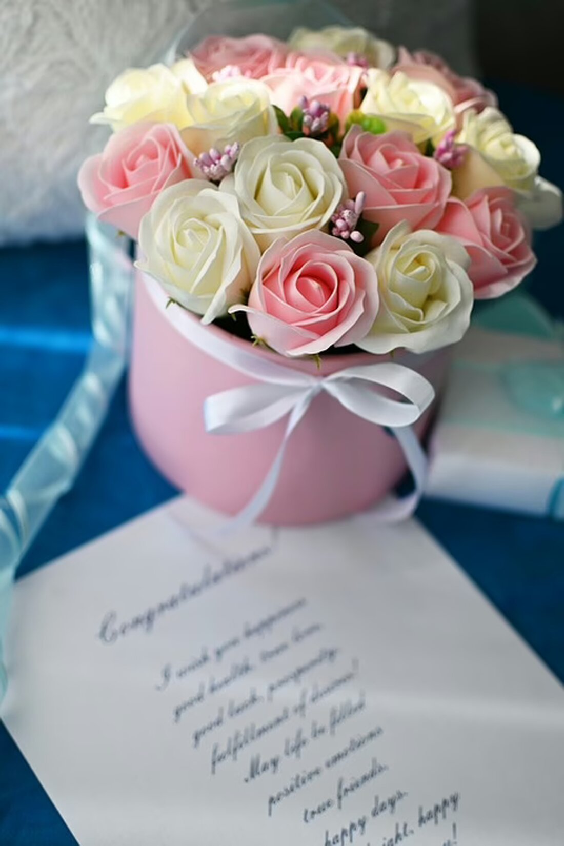 Die Mühlviertler Tips-Familie ruft zur Futter-Spendenaktion für die Linzer Tiertafel auf. Helfen Sie bedürftigen Tierhaltern bis zum 4. Dezember! Jede Spende zählt!