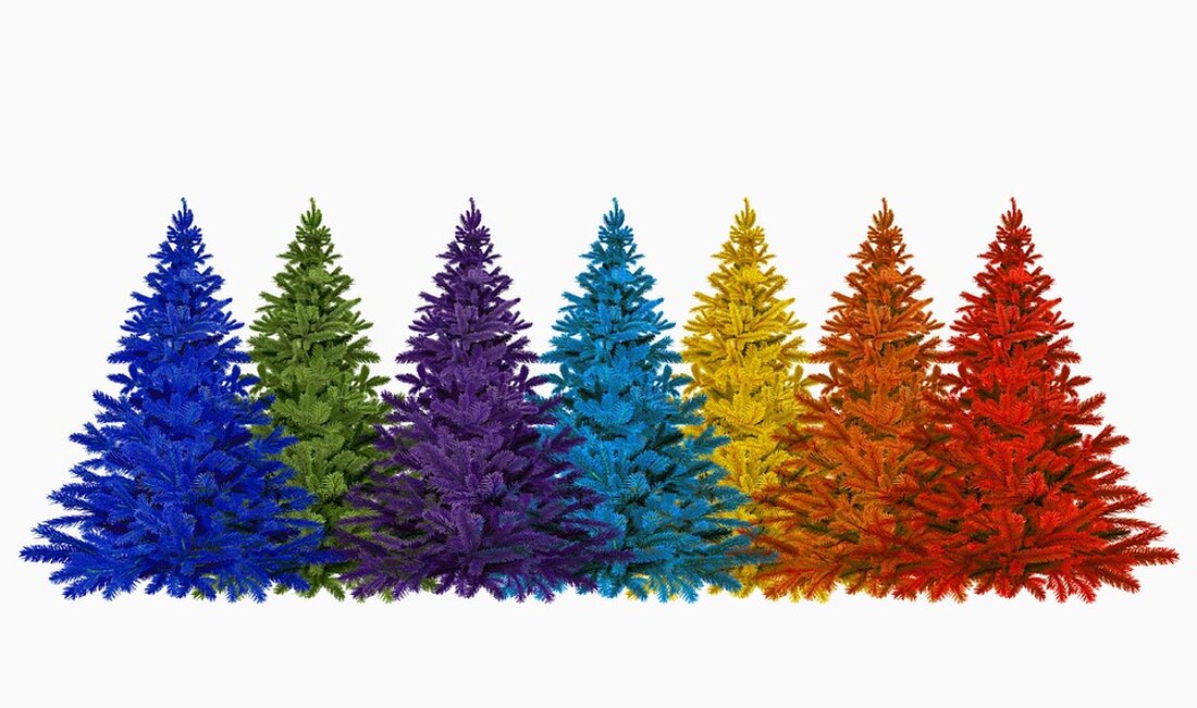 Unterstützen Sie die Spendenaktion „Christbäume, die Früchte tragen“ zur Aufforstung in Tansania! Jeder Euro hilft, zwei Baumsetzlinge zu pflanzen. Informationen unter www.seisofrei-ooe.at/christbaumaktion2024.