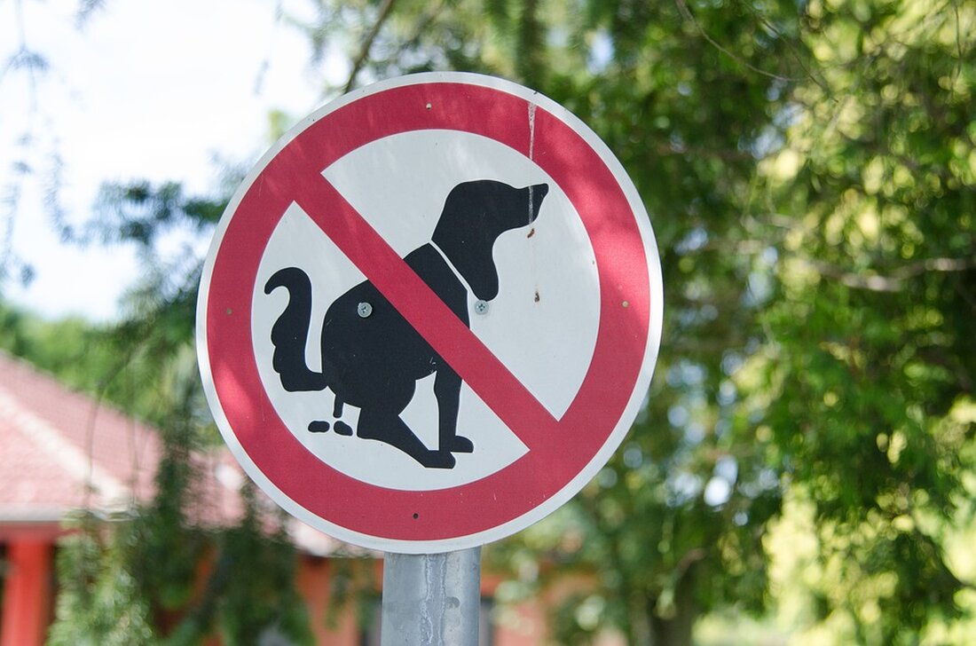 In der oberösterreichischen Gemeinde Steyregg gilt ab sofort ein ganzjähriges Hundeverbot am Pleschinger See, mit Strafen bis zu 7.000 Euro. Was steckt hinter dieser entscheidenden Maßnahme?