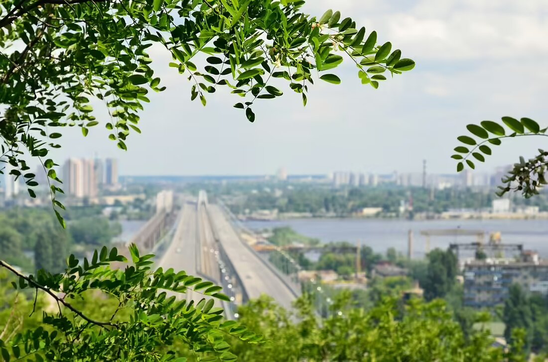 Nach dem Amoklauf in Allerheiligen ist die Polizei auf der Suche nach Roland Drexler. Das Fluchtauto wurde gefunden, die Lage bleibt angespannt. Aktuelle Informationen im LIVETICKER.