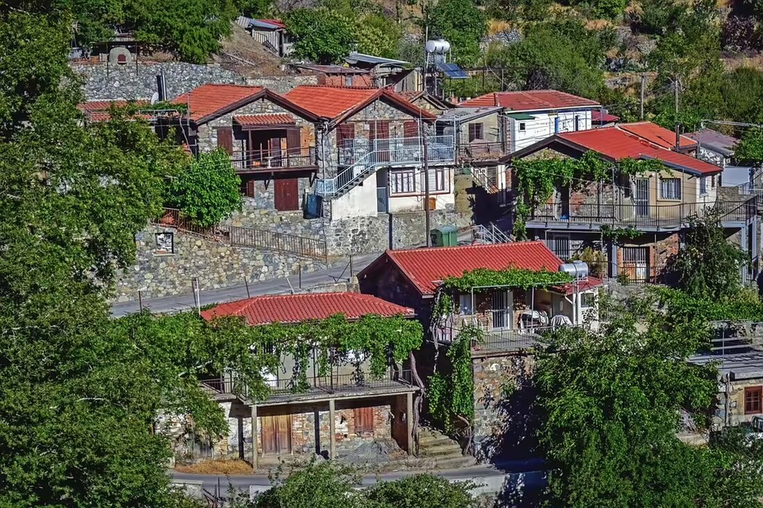 Mentoren unterstützen Migranten wie Alona Yevych bei der Jobsuche in Österreich. Das erfolgreiche Programm fördert Integration und berufliche Perspektiven. Jetzt mehr erfahren!