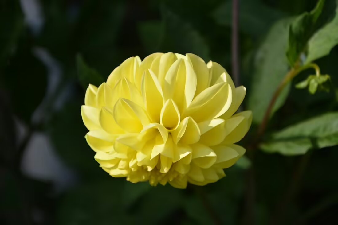 Die Flyer AG in Huttwil BE plant massive Entlassungen: Die Mehrheit der 170 Mitarbeitenden könnte betroffen sein. Hintergrund sind sinkende Nachfrage und strategische Veränderungen in der Branche.