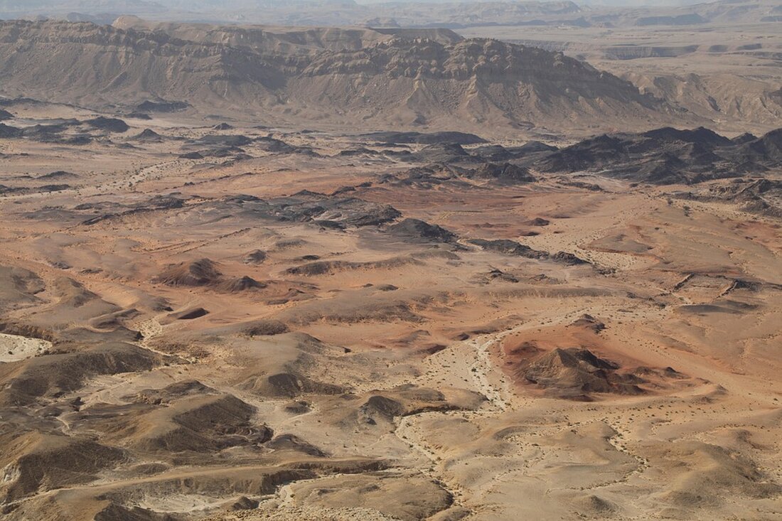 Israel hat einen Plan zur militärischen Expansion in Gaza sowie ein neues Hilfsrahmenwerk genehmigt. Dies geschieht trotz internationaler Bedenken und humanitärer Krisen. Lesen Sie mehr über die Entwicklungen.