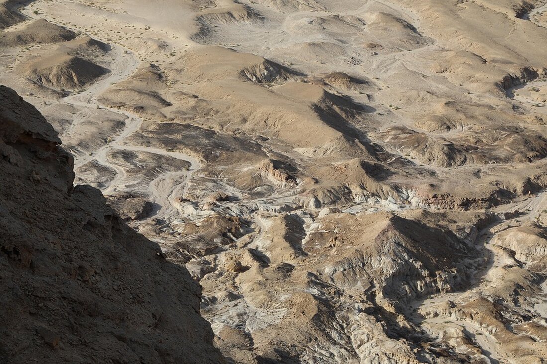 Israel genehmigt die größte Expansion von Siedlungen im Westjordanland seit 30 Jahren. Diese Entscheidung wird als Drohung für den Frieden und die internationale Rechtmäßigkeit angesehen.