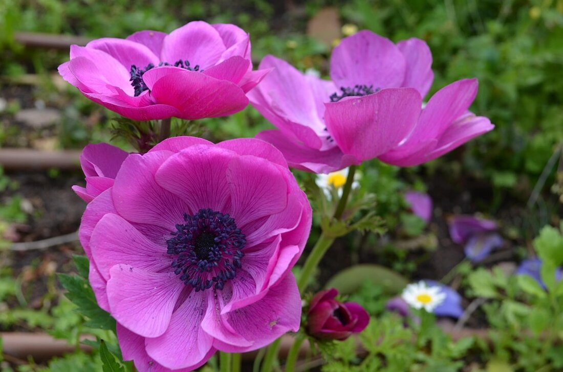 Israel hat Jemen angegriffen, nachdem die von Iran unterstützten Houthis einen neuen Typ von Rakete auf Israel abgefeuert haben. Die IDF bezeichnet die Angriffe als Reaktion auf wiederholte Provokationen.