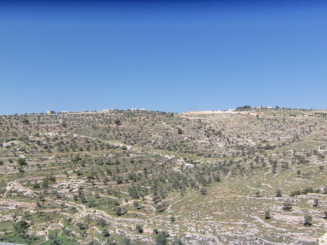 Israel und Libanon haben einem von den USA unterstützten Waffenstillstandsvertrag zugestimmt. Dieser soll den 13-monatigen Konflikt beenden und eine dauerhafte Ruhe zwischen beiden Ländern ermöglichen.