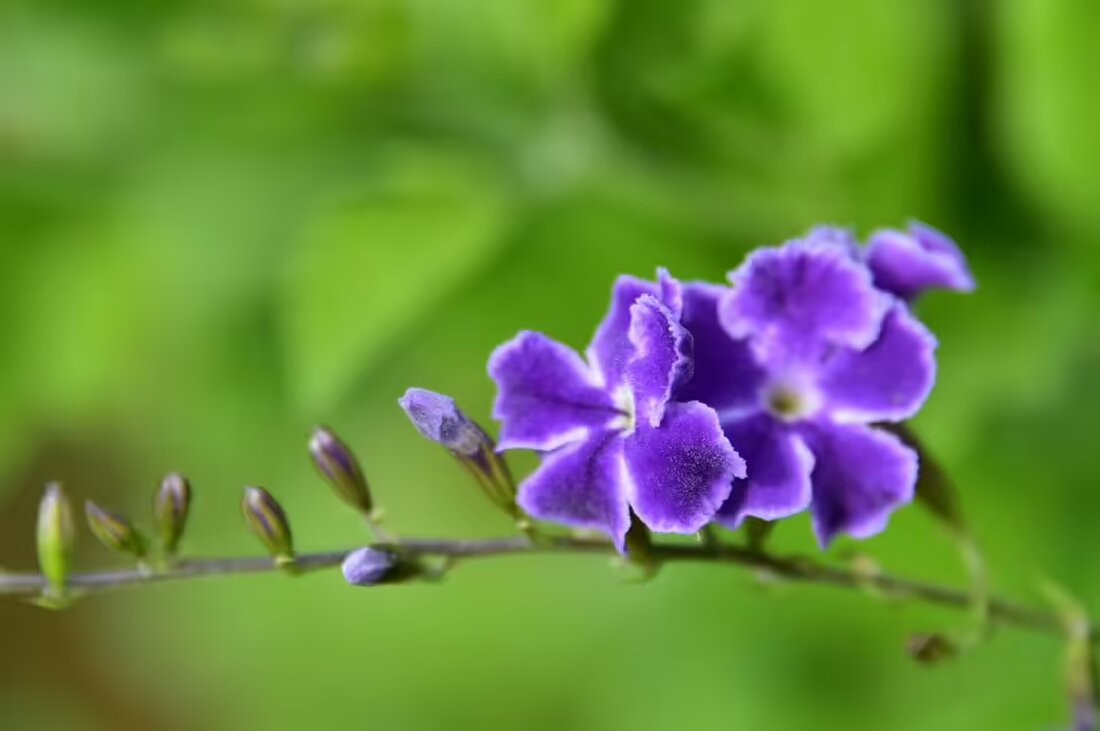 Israels Luftangriffe auf Libanon fordern über 40 Todesopfer, darunter Kinder. Berichten zufolge wurden zahlreiche Orte angegriffen, während die humanitäre Lage sich weiter zuspitzt.