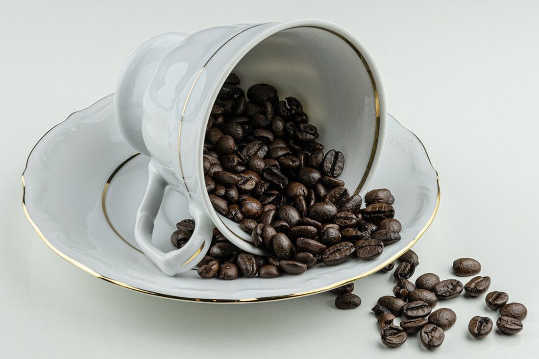 Erleben Sie im Café "Kaplan am Kurpark" in Bad Tatzmannsdorf einen bunten literarischen Jahresrückblick beim 1. Pannonischen Lesetheater "S´Johr is bold umma". Kunst, Kultur und lokale Talente vereint!