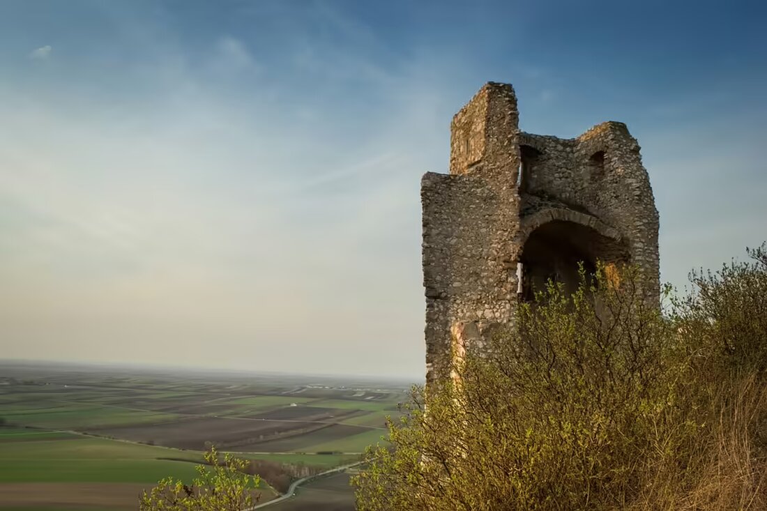 Die Jugendkapelle Staatz erreicht beim österreichischen Blasorchesterwettbewerb im Brucknerhaus Linz einen großartigen 6. Platz. Ein Erfolg, der das talentierte Ensemble aus Niederösterreich würdigt.