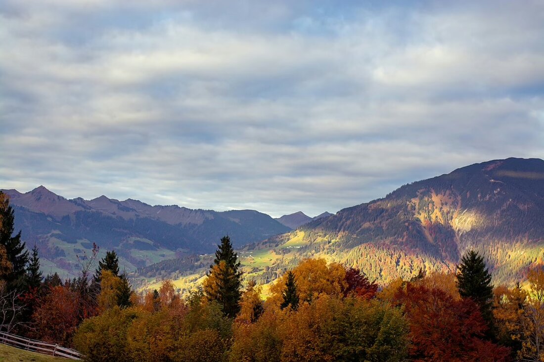 In Vorarlberg sind über 9 % der Ortschefs unter 40 Jahre alt – ein Vergleich zum Österreichschnitt zeigt, dass junge Köpfe in der Kommunalpolitik gefragt sind. Mehr dazu im Artikel!
