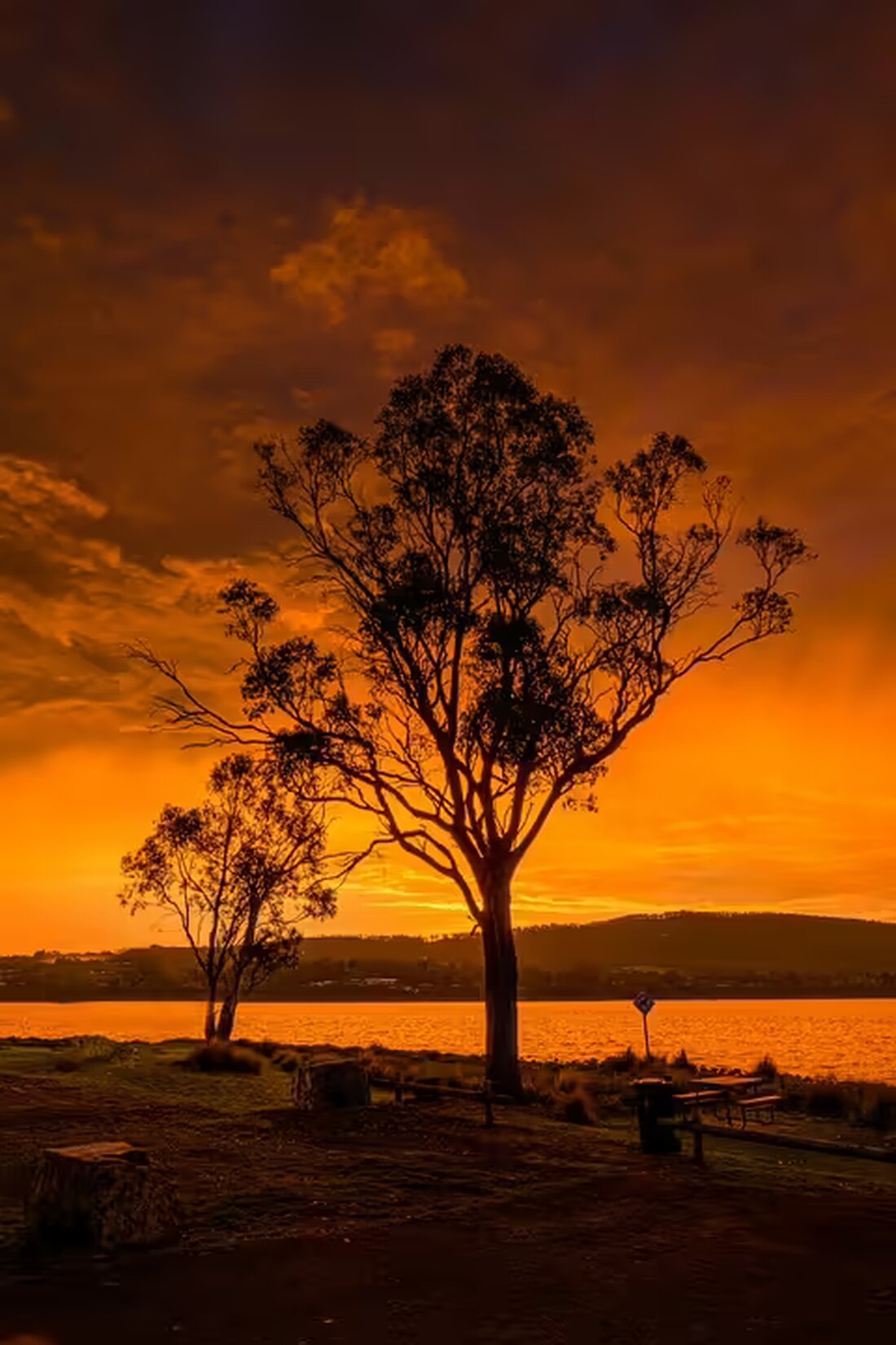 Im Rahmen des KAC-Spiels gegen die Innsbrucker Haie sammelten die Fanclubs Stiege 19 und Soldaten mit Herz über 500 Euro für Obdachlose in Klagenfurt. Ein tolles Beispiel für soziale Verantwortung im Sport!