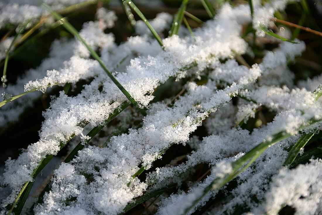 Erfahren Sie alles über das Wetter in Wolfsberg vom 22. bis 28. November 2024: Vorhersage, Temperaturen und 7-Tage-Trend. Bleiben Sie informiert über Niederschlag und Wetterbedingungen!