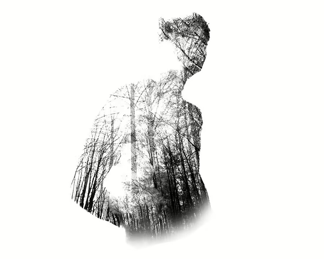 Die Europa- und Verfassungsministerin Karoline Edtstadler kündigt ihren Rückzug aus der Spitzenpolitik an. Zukünftig möchte sie als Nationalratsabgeordnete und Anwältin in Salzburg tätig sein.