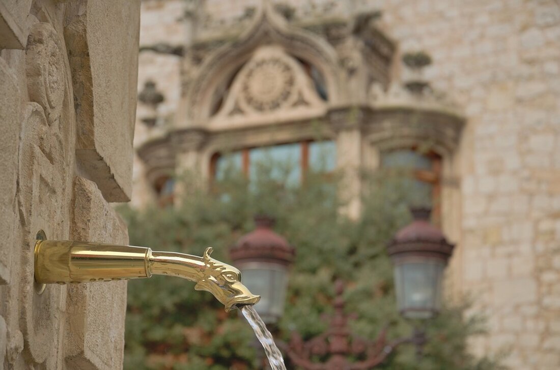 Erfahren Sie mehr über die Katholische Kirche Kärnten und ihre aktuellen Angebote. Informieren Sie sich über Neuigkeiten und Unterstützung aus den Pfarren der Diözese Gurk. Besuchen Sie uns!