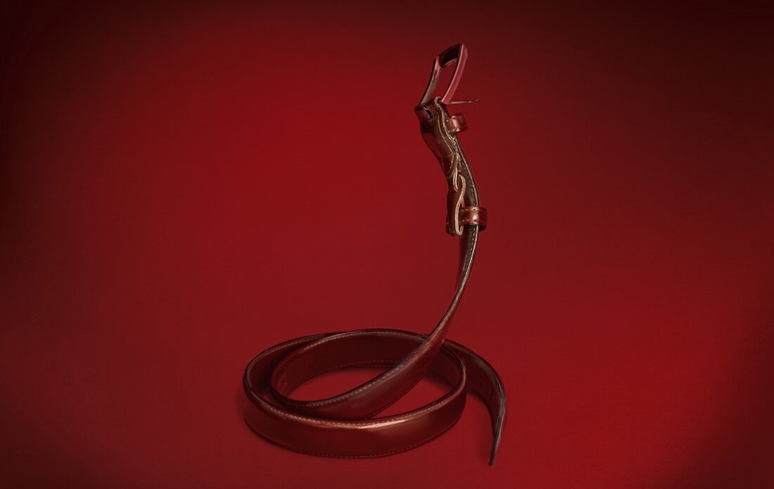 Ein neuer Flächenwidmungsentwurf sorgt für Unruhe in Altmannsdorf rund um den Khleslplatz. Wie verändert sich das historische Grätzl? Wir klären die Zukunft dieses geschützten Ensemble.