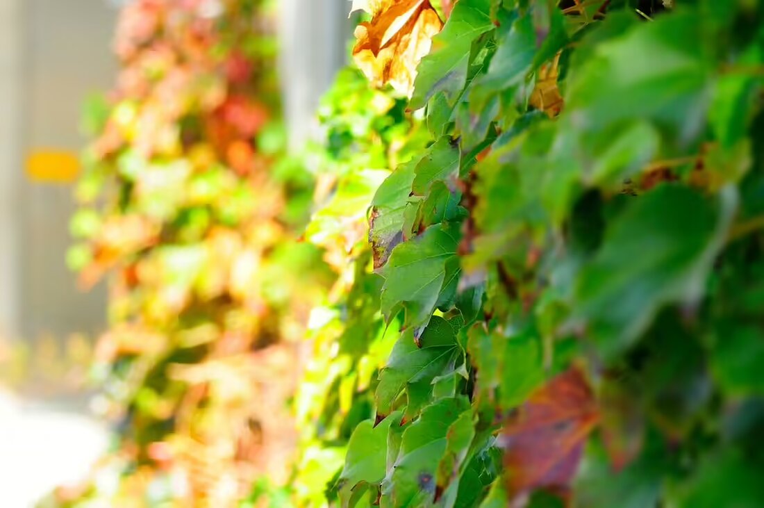 Erleben Sie den Kirchdorfer Herbstmarkt vom 9. bis 13. November mit Karussells, kulinarischen Köstlichkeiten und einer bunten Gewerbeschau. Ein Fest für die ganze Familie!