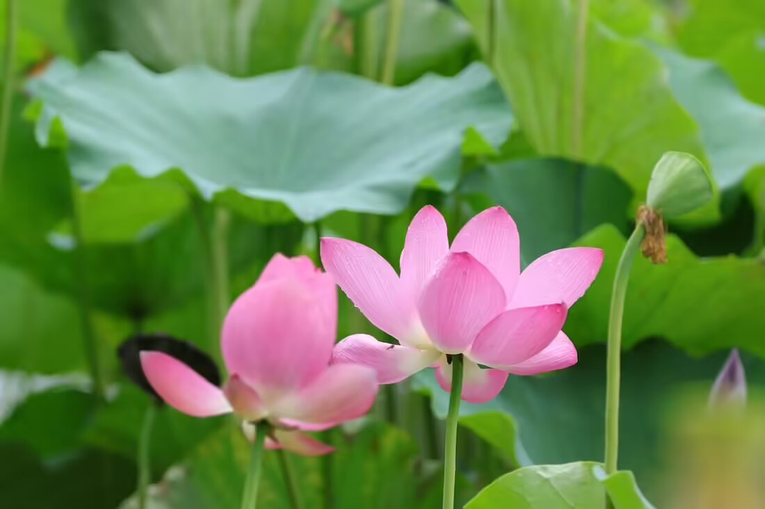 Am Kirtag der Jugend Nebersdorf herrschte tolle Stimmung mit leckerem Essen und der Band "TS ZRIN". Ein unvergesslicher Abend voller Musik und gemeinsamer Freude!