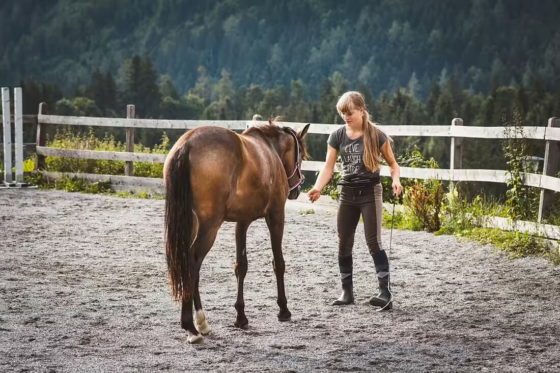 Ein schwerer Unfall in Bezirk Tulln: Ein Kleinbus prallte ungebremst gegen einen abgestellten Anhänger. Der Fahrer wurde mit Verletzungen ins Krankenhaus gebracht. Details zur Unfallursache und Einsatzkräfte hier lesen.