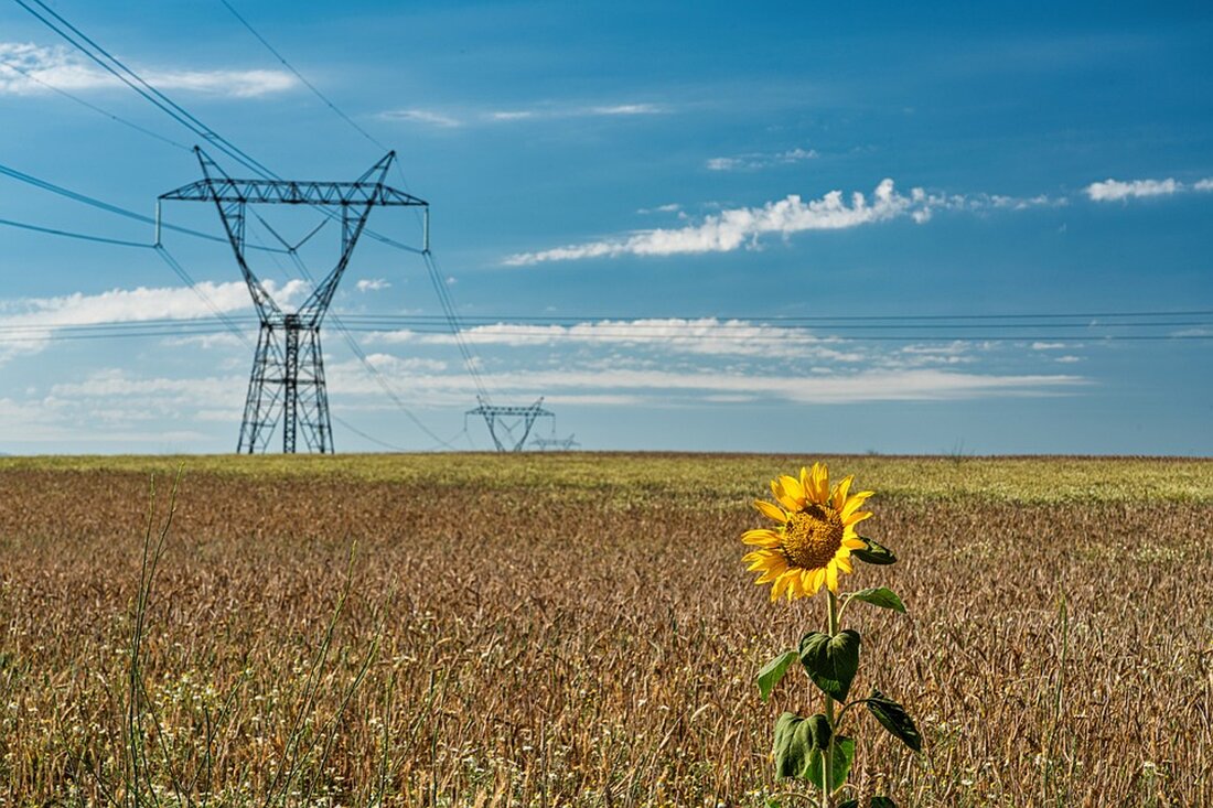 Volkshilfe lebensART erhält den Oö. Umweltpreis 2024 für den "Klimafreundlichen Wohnverbund". Ein innovatives Projekt zur Förderung von Nachhaltigkeit und Inklusion für Menschen mit Beeinträchtigungen.